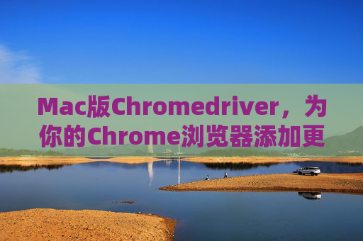 Mac版Chromedriver，为你的Chrome浏览器添加更多功能